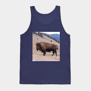 Bison Buffalo Adult Photograph Tank Top